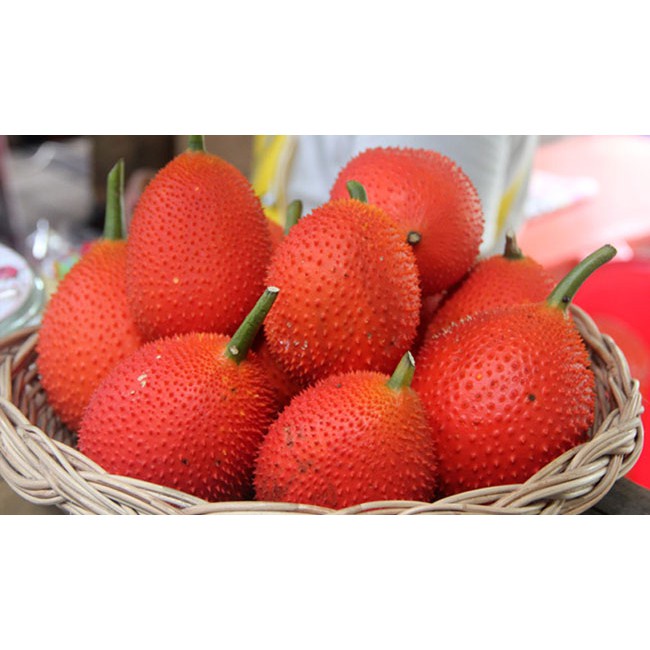 Bột Gấc Đại Đồng Thuận 100g