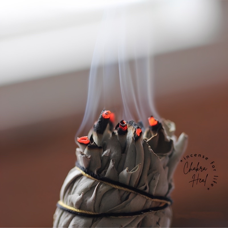 White Sage Smudge - Xô Thơm Trắng Thảo Mộc Xông Nhà Thanh Lọc Năng Lượng l Chakra Heal Incense