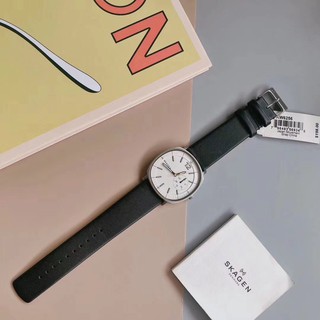 Đồng hồ nam Skagen SKW6256