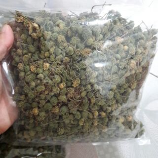Nụ hoa tam thất 0.5~1kg
