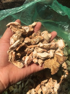[FREESHIP 99K TOÀN QUỐC] 1kg Củ địa liền