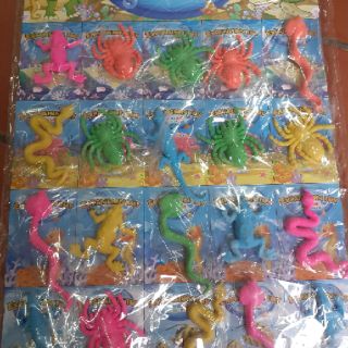 Vỉ hạt nở 24 gói/ 20 gói