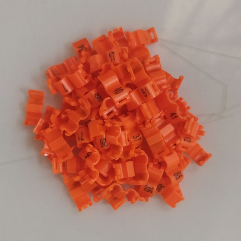 10PCS VÒNG CHÂN CHIM YẾN HÓT FINCH CÓ SỐ SORI SET