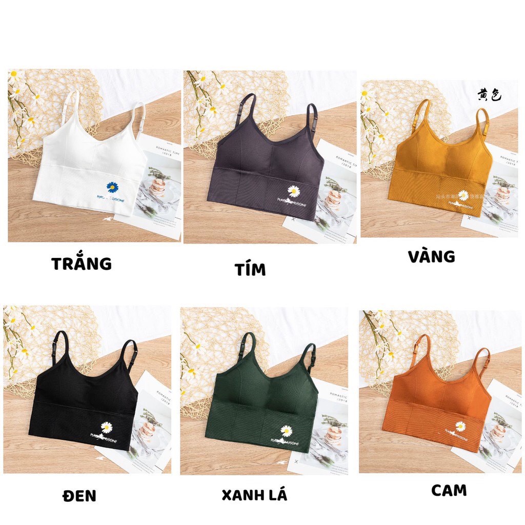 Áo Bra Nữ - Áo Ngực Nữ nâng vòng một gợi cảm họa tiết hoa cúc DAN STORE MÃ BRA03