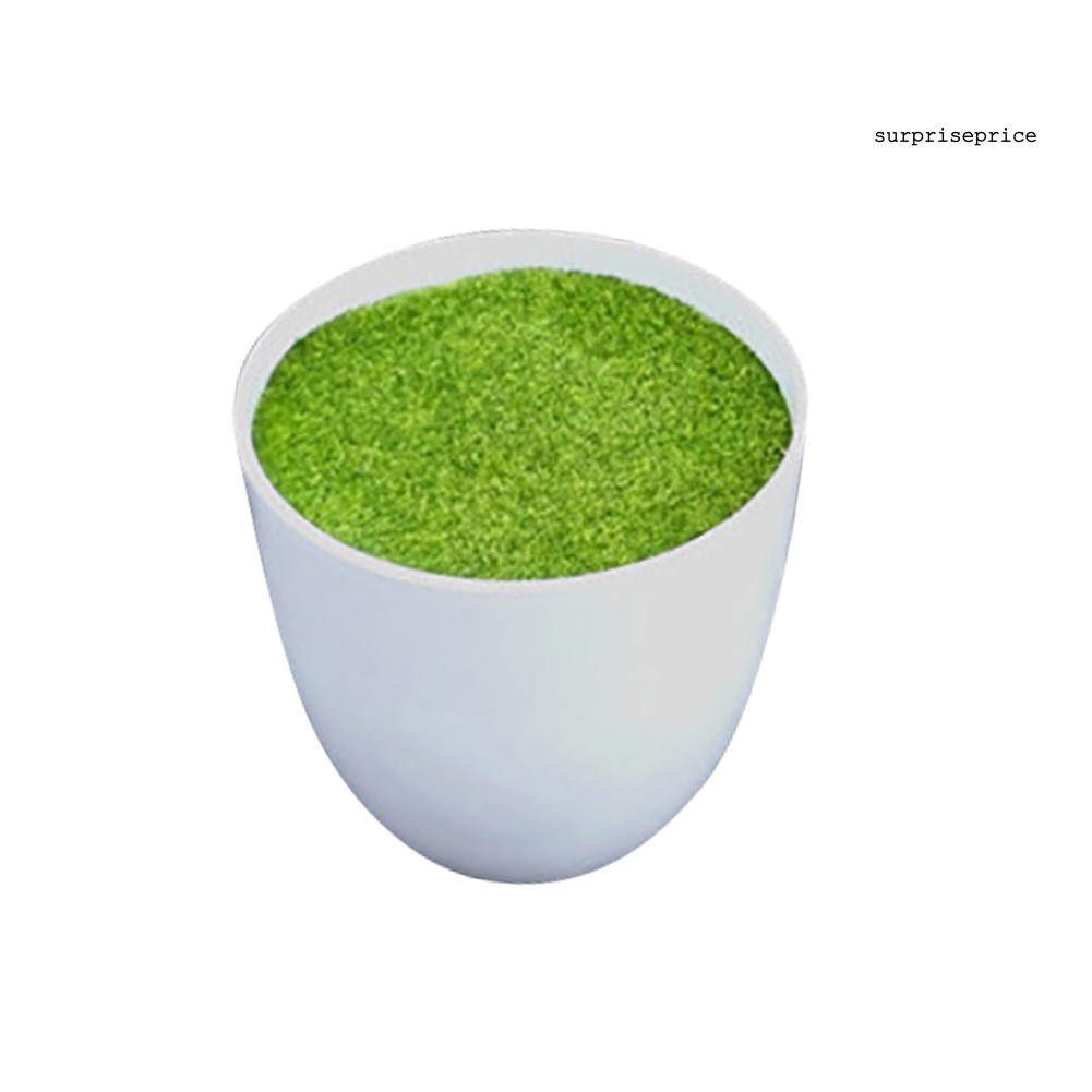 Chậu hoa bằng nhựa hình tròn dễ thương xinh xắn