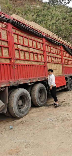 MIẾN CAY TRÙNG KHÁNH_ 1 THÙNG 6 HỘP