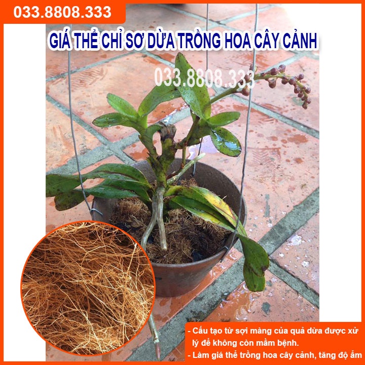 200g Chỉ Dừa ( Sợi Dừa) Giá Thể Trồng Lan - Giá Thể Sạch