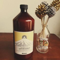 Dầu gội cho da đầu bị gàu DAVINES PURIFYING SHAMPOO 1000ML
