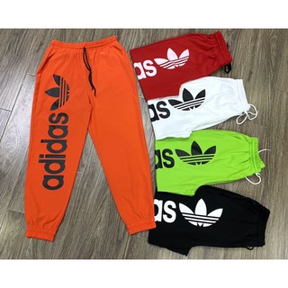 QUẦN JOGGER BA LÁ TẬP GYM, ZUMBA SIÊU CHẤT