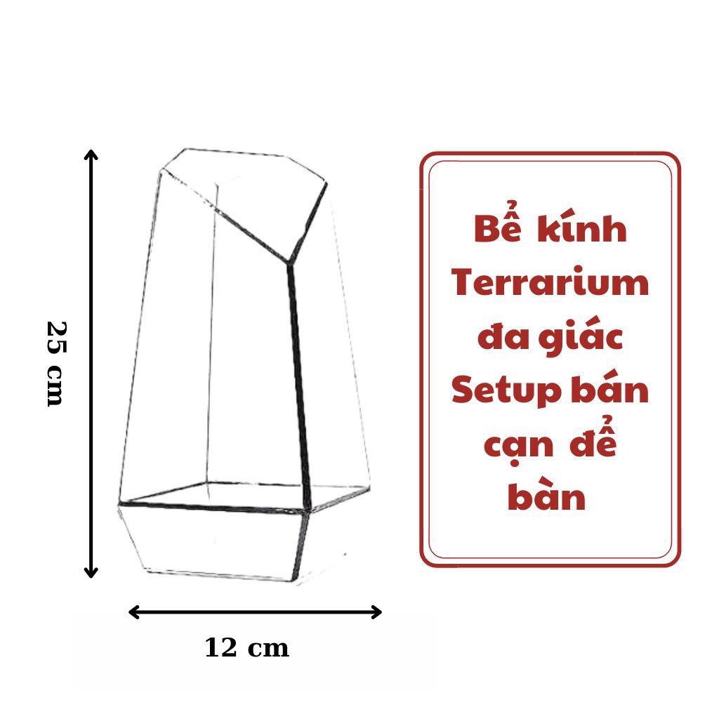 Bể terrarium đa giác trang trí bán cạn để bàn kích thước D12xR12xC25 (Tặng miếng hít kính)