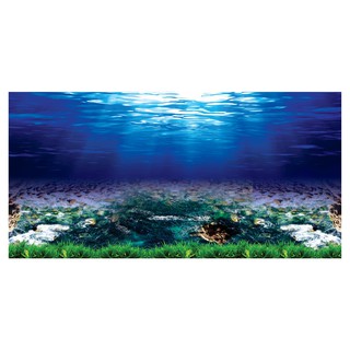 TRANH DECAL 3D DÁN HỒ CÁ CẢNH_NÀNG THƠ DECORATE