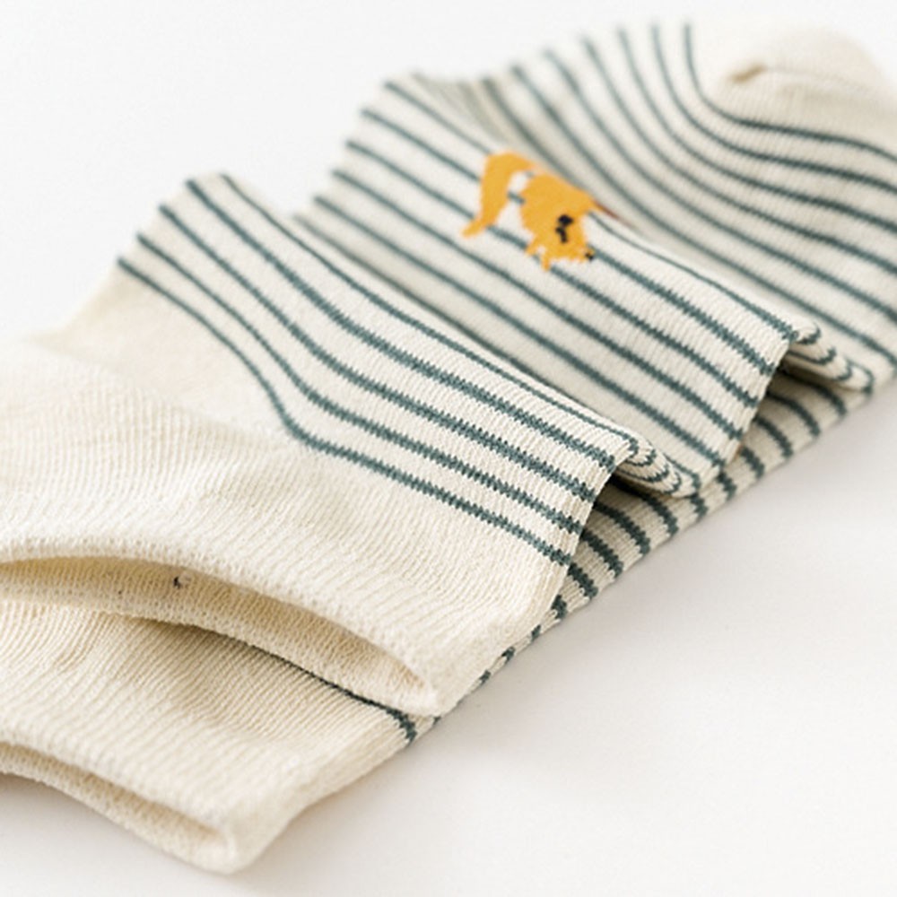 Set 5 đôi tất cotton hoạ tiết trái cây dễ thương thời trang cho nữ