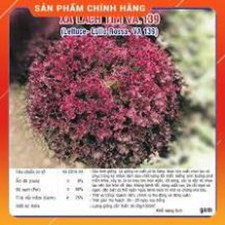 HẠT GIỐNG RAU XÀ LÁCH XOĂN TÍM GÓI 2G.