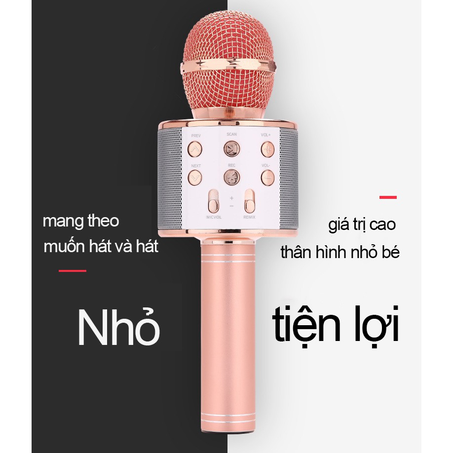 Micro karaoke bluetooth, mic hát blutooth kiêm loa thông minh WS-858 siêu bass - G01 thế giới loa