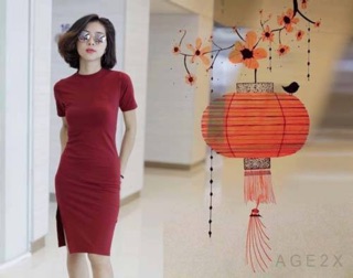 Đầm thun body (nhiều kiểu)