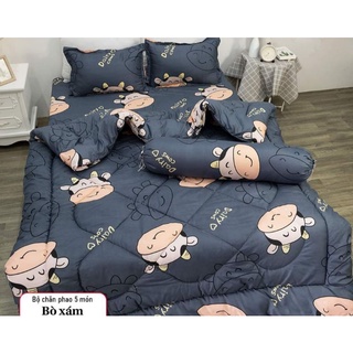 [Rẻ Đẹp] Bộ Chăn Phao 5 Món Ga Gối Poly loại 1 Chăn Bông Như Hình [Loại Bông Dày]