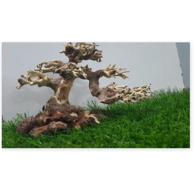 Lũa bonsai cấy rêu ôm đá(D17- C10) - [ Xưởng Thủy Sinh TS Online37 ]