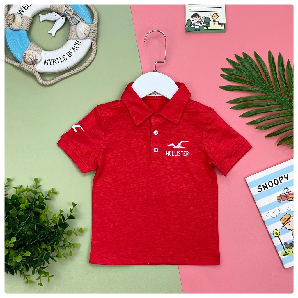 Áo cổ trụ bé trai hollister cho bé từ 1-8 tuổi từ 9-14 tuổi
