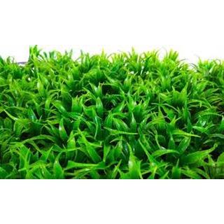 Vỉ cỏ nhựa mily trang trí