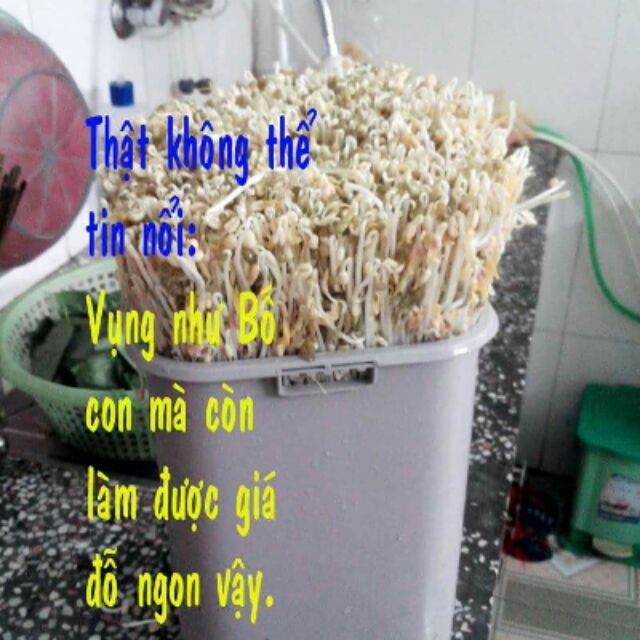Thiết bị làm giá sạch đa năng (làm giá + muối dưa cà...)