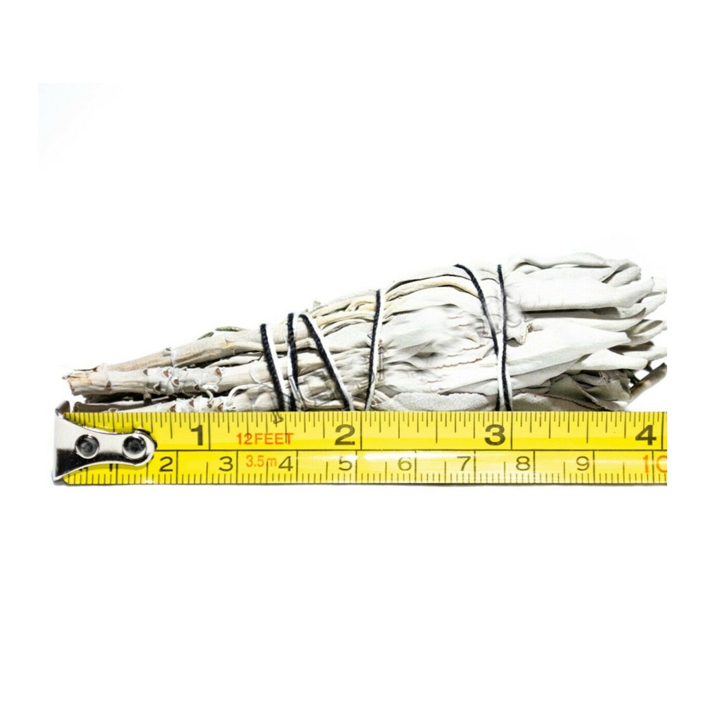 Sét 3 bó lá xô thơm 10cm các loại (White sage mini smudges 4''L)