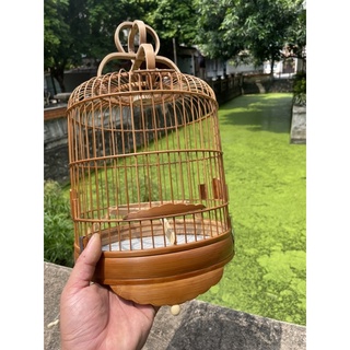 Lồng khuyên lùn nan mau trúc xử lý