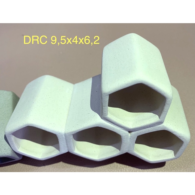 Hang Pleco “HANG 4 LỖ - 80k”