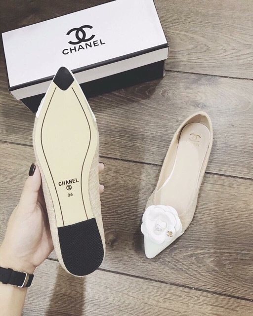 GIÀY BỆT HOA TRÀ CỰC SANG