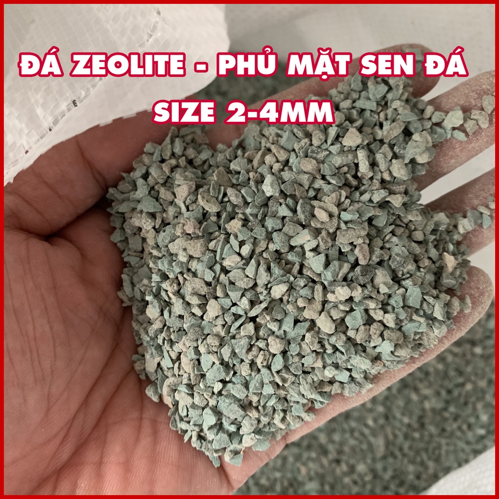 Đá Zeolite stone - phủ mặt sen đá.