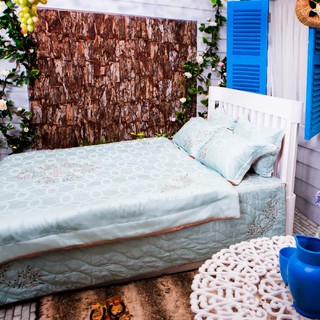 Bộ chăn drap Edena ED712