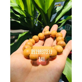 Vòng gỗ quỉ kiến sầu