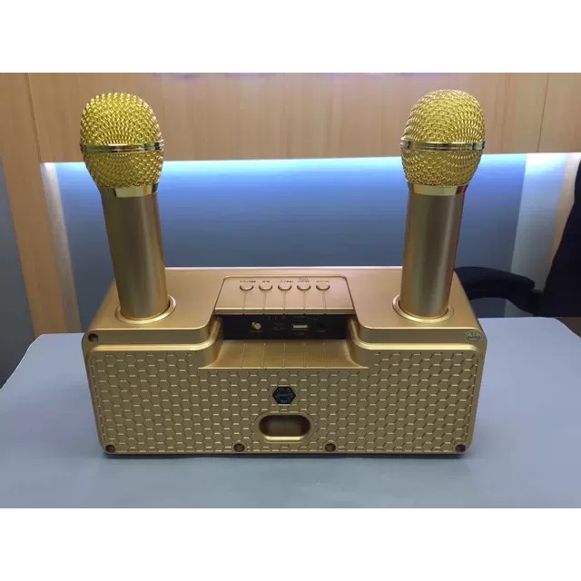 Loa Karaoke SD 301/309  Kèm 2 Micro Không Dây tích hợp bluetooth 4.0 - usb - thẻ nhớ