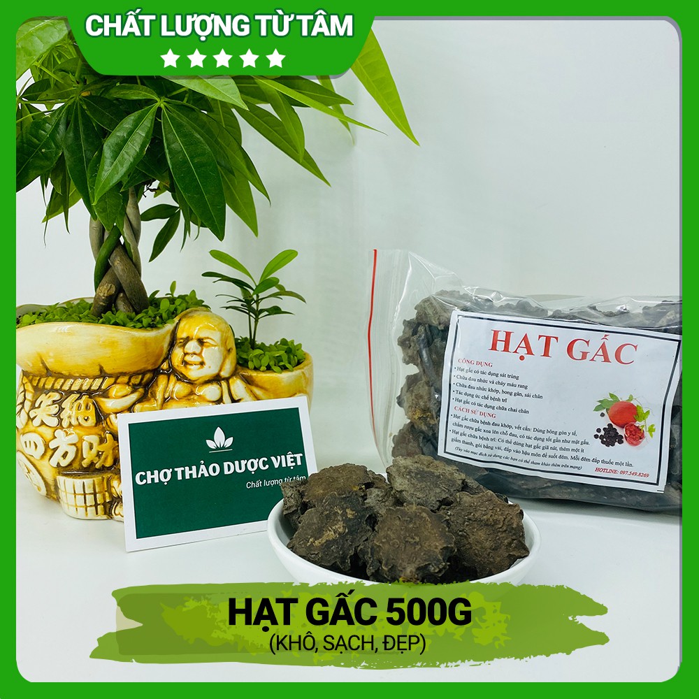 Hạt gấc khô 500g ( Hạt gấc ngâm xoa bóp hỗ trợ giảm đau nhức) - Chợ Thảo Dược Việt