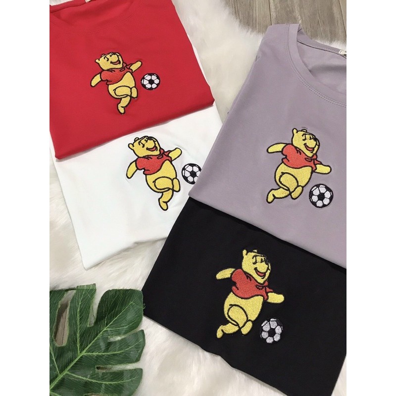 Áo THUN THÁI thêu form vừa(bao chất đẹp)