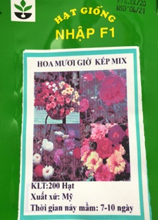 Hạt giống hoa mười giờ Mix 💐
