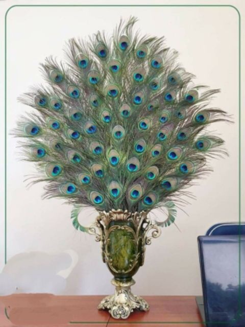 Lông công 100cm phong thủy loại to đẹp mắt đại | BigBuy360 - bigbuy360.vn