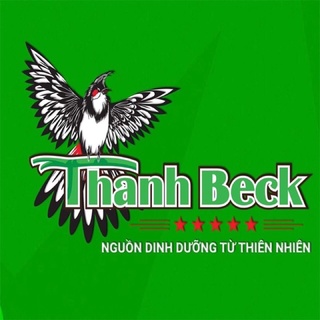 Cám Chào Mào Thanh Beck (Cám Đấu)