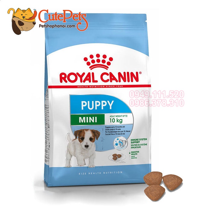 Hạt Royal Canin Mini Puppy 2kg - Thức ăn cho chó con - Phụ kiện thú cưng Hà Nội