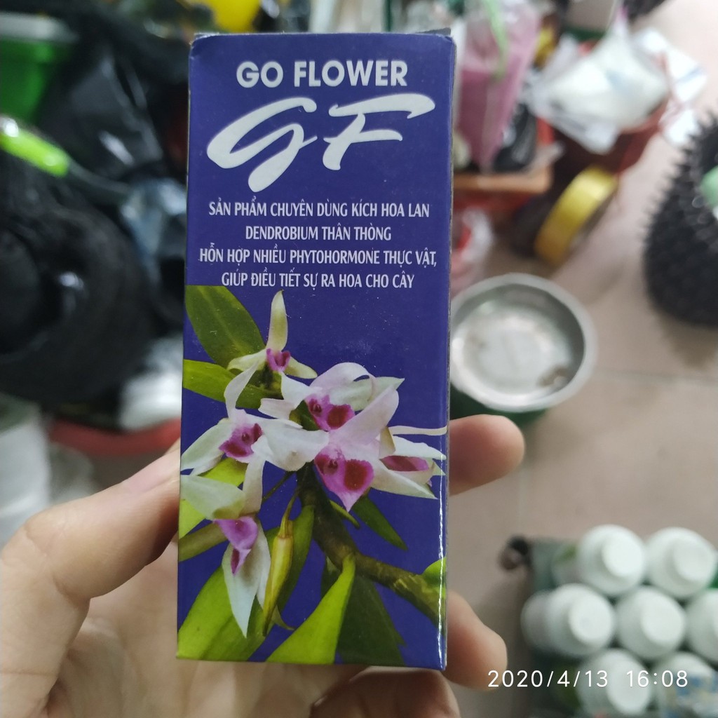 Chế phẩm G-Flower kích thích ra hoa Dendre thân thòng