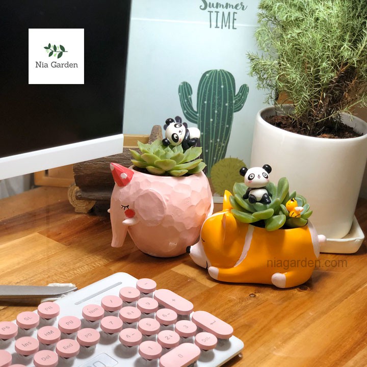 Chậu chó Corgi cam trồng sen đá xương rồng mini để bàn Nia Garden N4