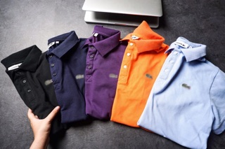Polo lacoste