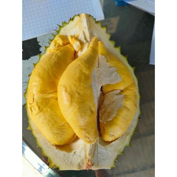 1 Trái Sầu Riêng Ri6 (loại Nhất 4-5-6 học múi, trái nặng từ 2-4kg)