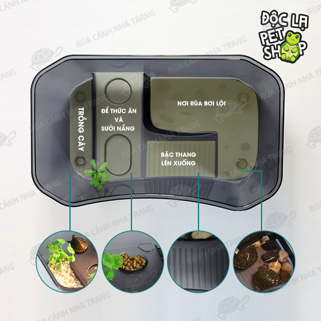 Hồ Nuôi Rùa, Bể Nuôi Rùa, Nuôi Bò Sát