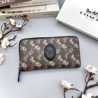VÍ COACH XE NGỰA