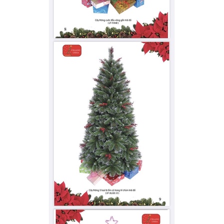 Cây thông 1,5m,1,8m, 2,1m 3 loại lá có trang trí chùm trái đỏ LP-3LLQC-D