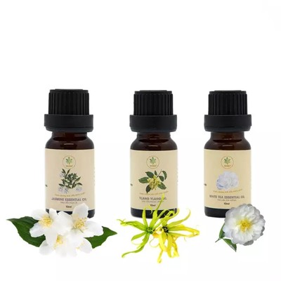 COMBO 3 lọ tinh dầu 10ML thương hiệu HEIWA mùi hương sang trọng, quyến rũ(trà trắng, ngoạc lan tây, hoa nhài).