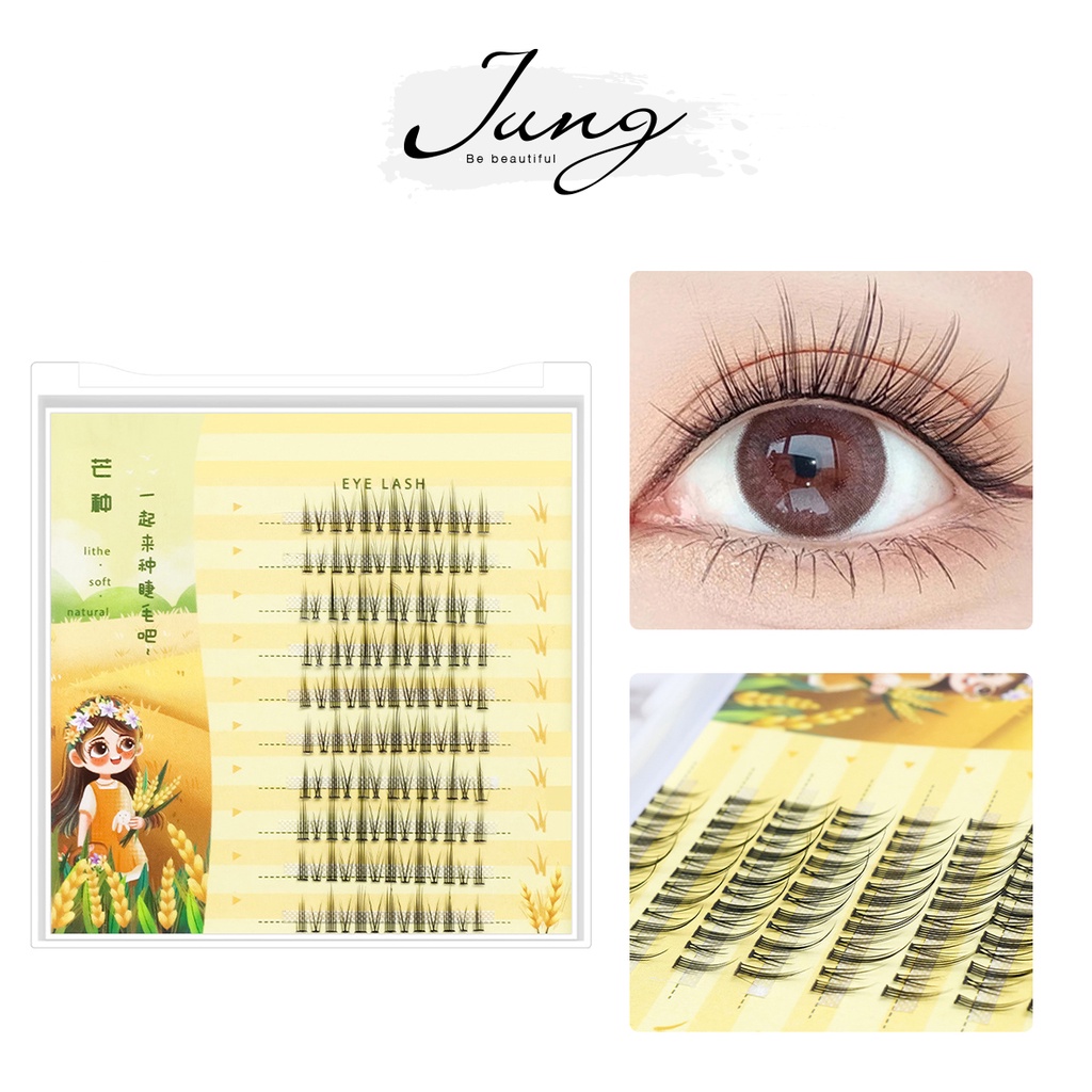 [JUNG] Hộp ông mi giả tự nhiên phân đoạn quỷ nhỏ 2