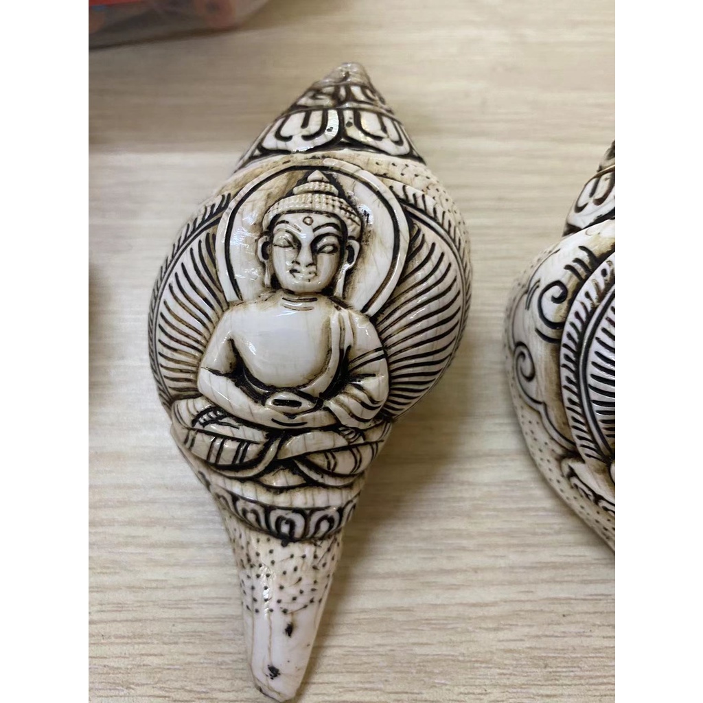 Ốc Biển chạm Nepal 10cm