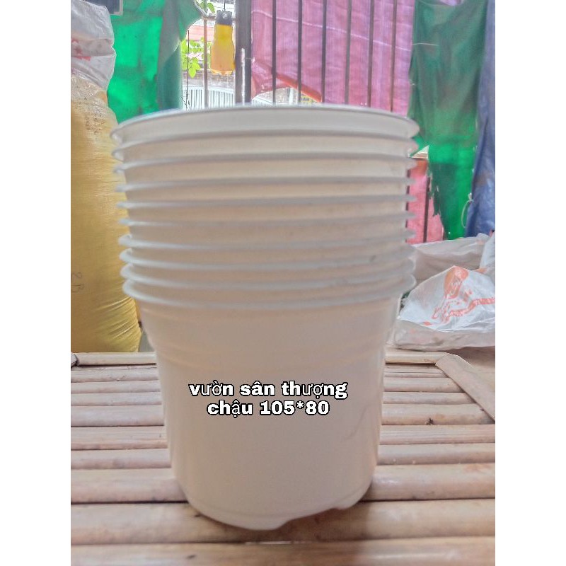 Chậu Nhựa Pp  Ươm Cây, Trồng sen, Trồng Hoa, Chất Lượng Cao, Miệng Vành Cứng