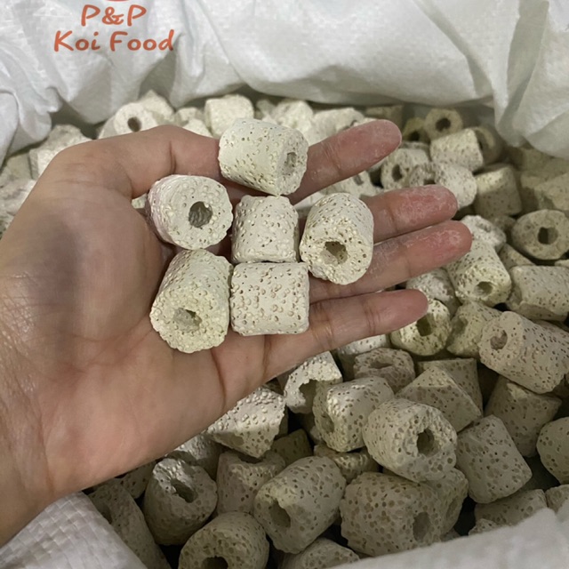 Sứ Viên Nhẫn